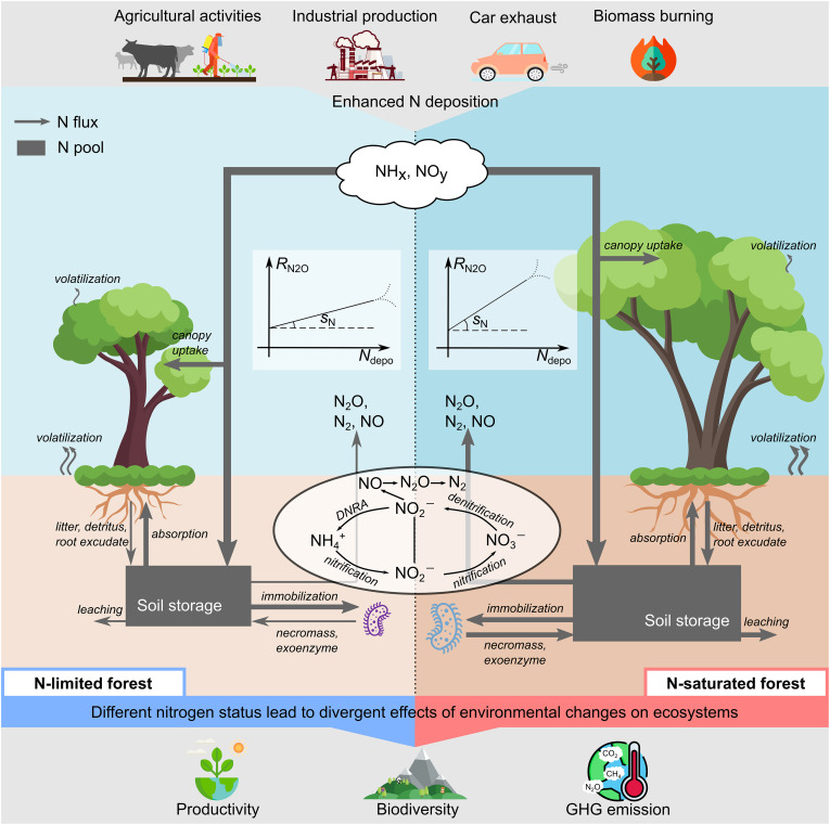 Greening Urban Spaces